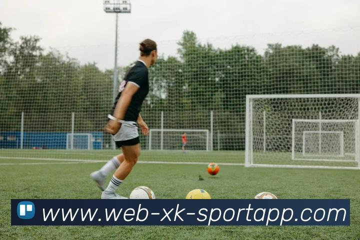 星空体育发展历程